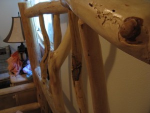 img_2201 Gnarly