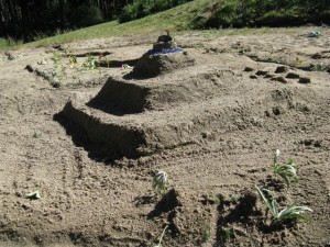 IMG_3756