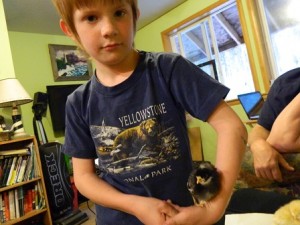Sweet Boy#3 and Puffis